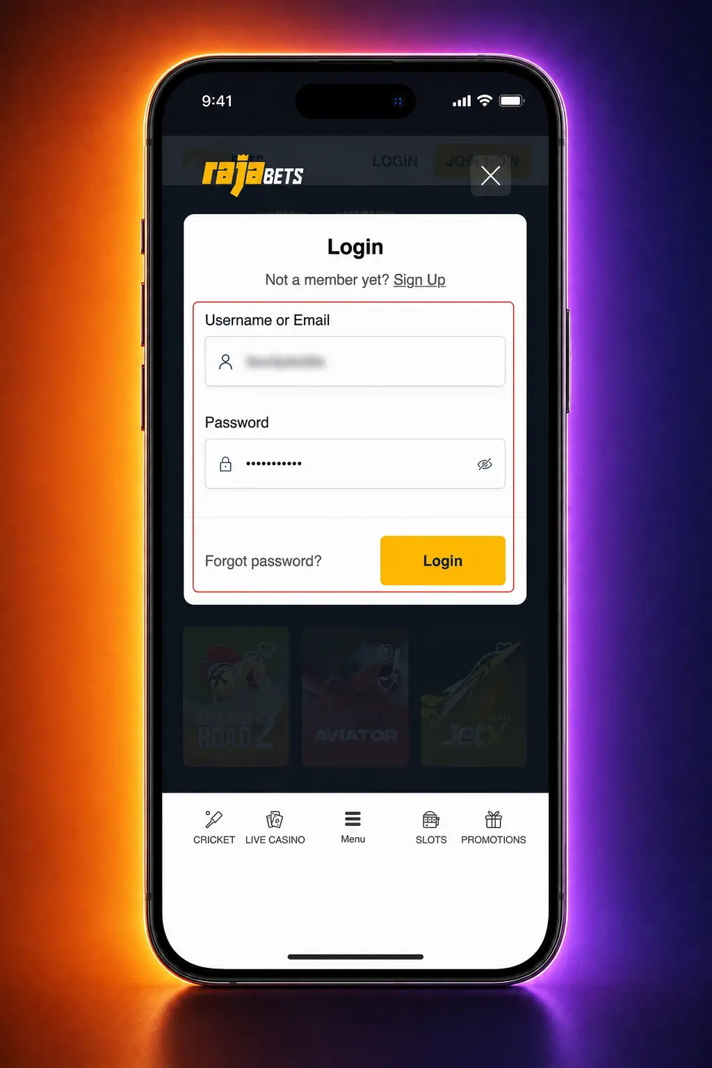 Identity verification documents for RajaBets account